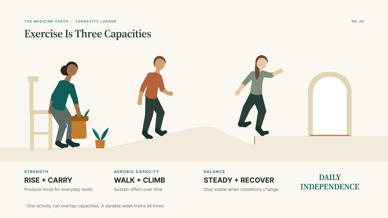 Infographic showing strength, aerobic capacity, and balance as three connected exercise capacities that support rising and carrying, walking and climbing, and staying steady and recovering from a misstep.